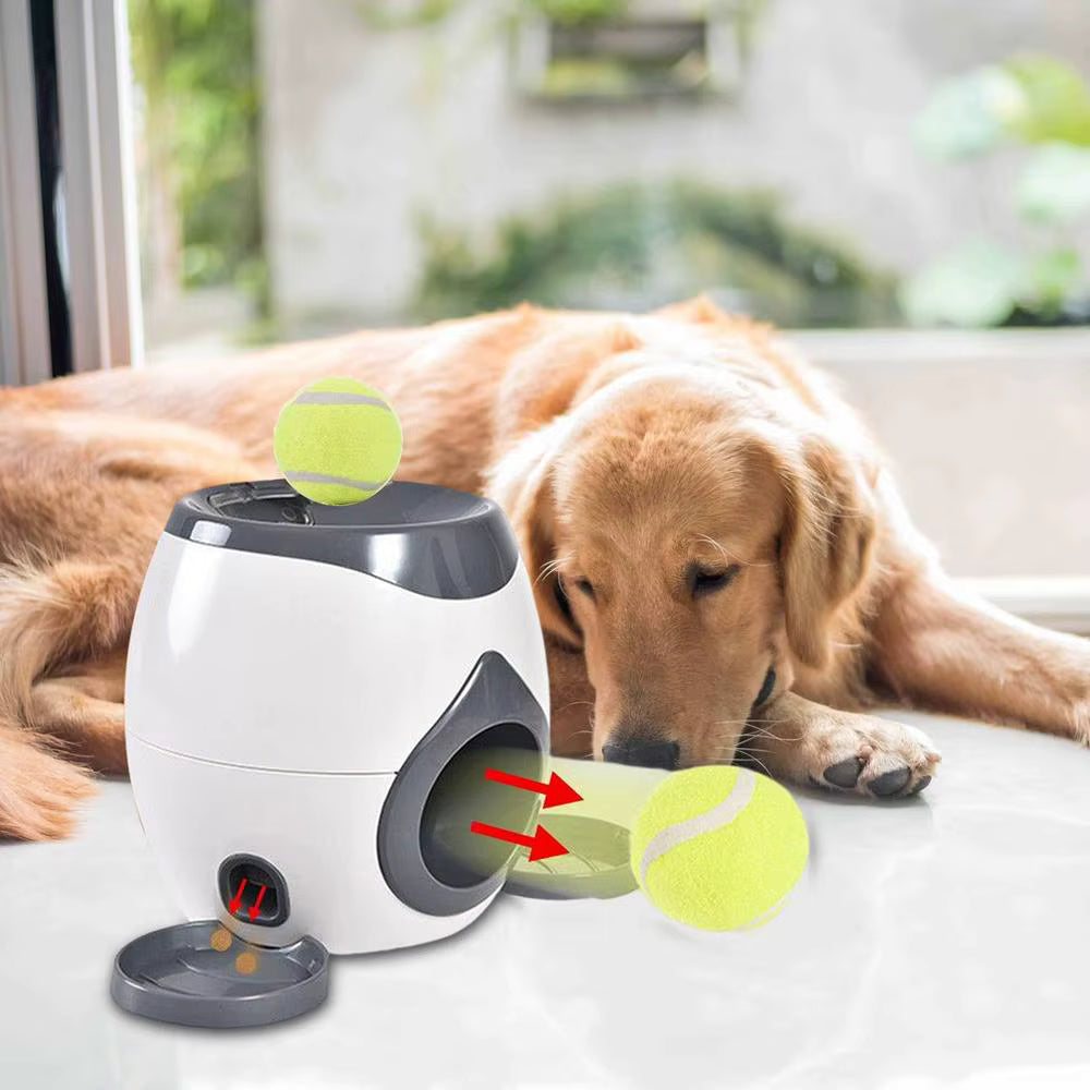 TailJoy – Automatic Ball Launcher