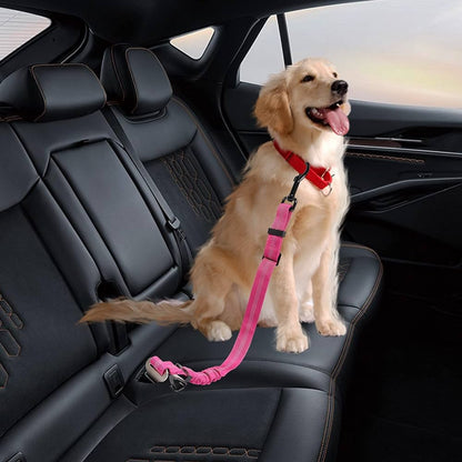 TailJoy– Reliable Safety Belt