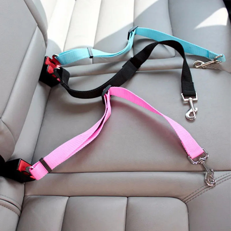 TailJoy– Reliable Safety Belt